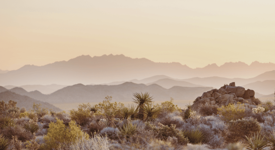 Sober Living in Tucson