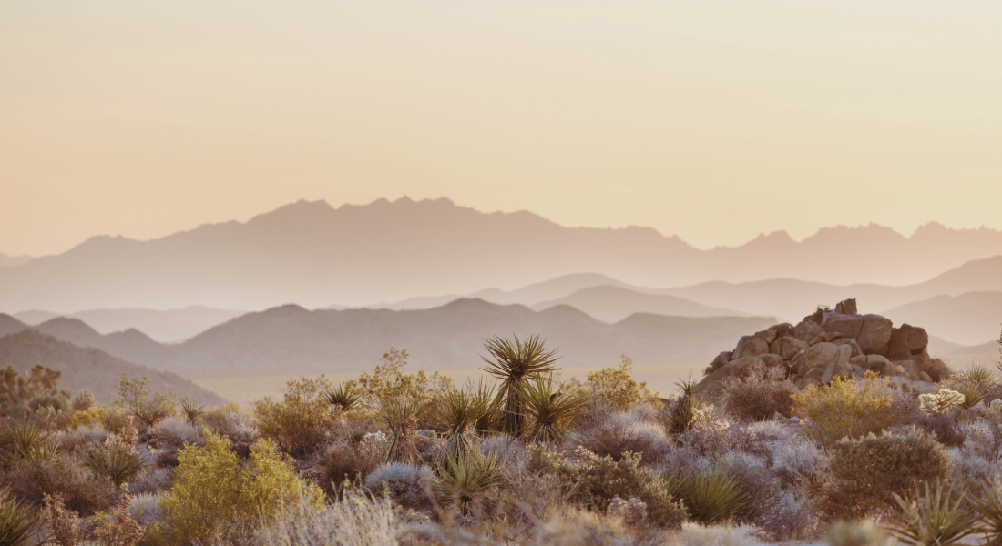 Sober Living in Tucson